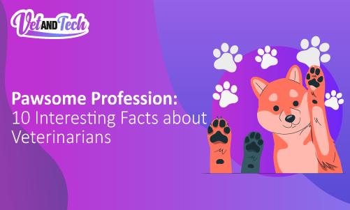 Pawsome Profession: 10 Interesting Facts about Veterinarians
