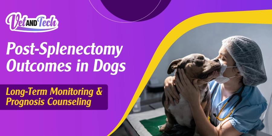 Post-Splenectomy Outcomes in Dogs: Long-Term Monitoring and Prognosis Counseling