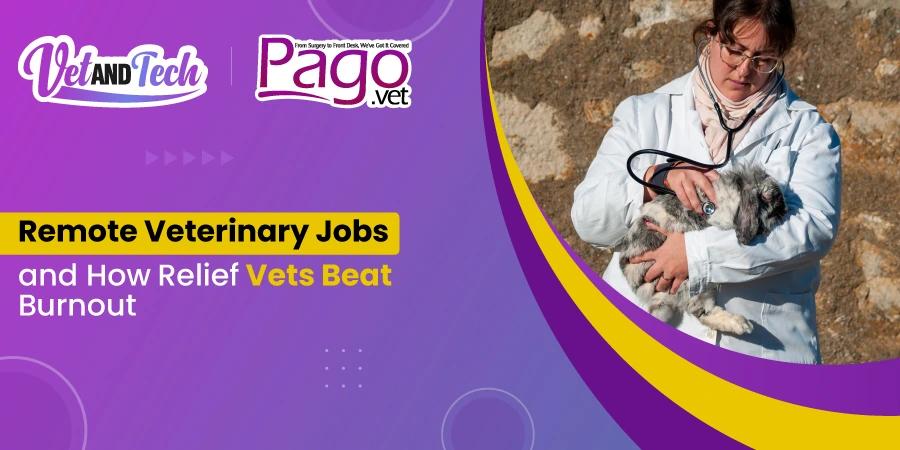 Remote Veterinary Jobs and How Relief Vets Beat Burnout with Telework