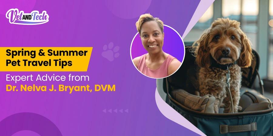 5 Spring and Summer Pet Travel Tips for Veterinary Professionals