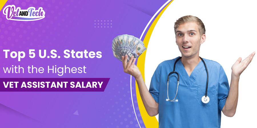 Top 5 U.S. States with the Highest Vet Assistant Salary – Is Your State on the List?