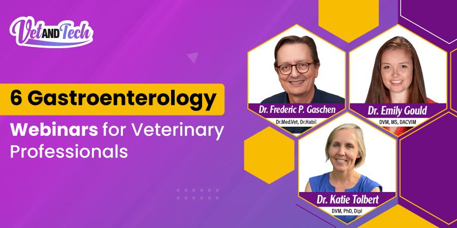 6 Free Gastroenterology Webinars for Veterinary Professionals by Vet and Tech