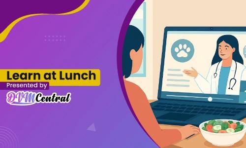 Why Host a Learn at Lunch Session on DVM Central