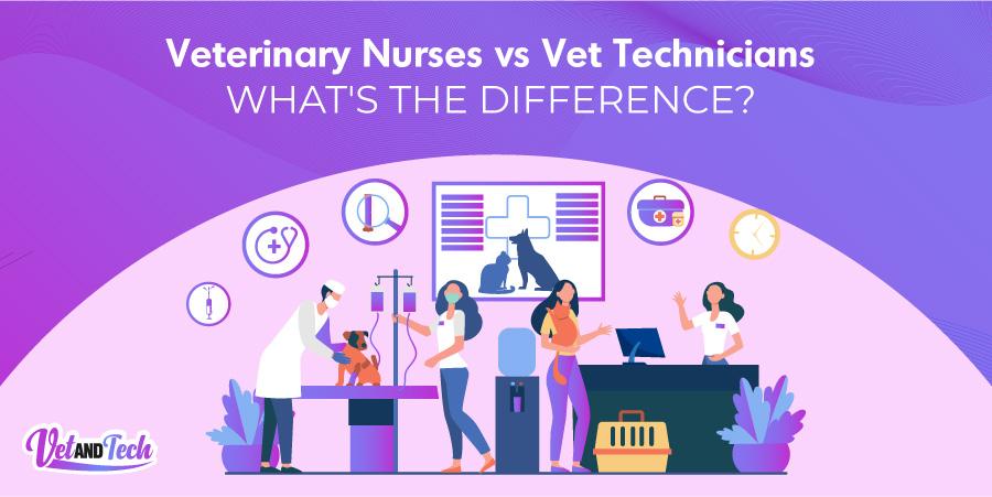 Veterinary Nurses vs. Vet Technicians: What's the Difference?