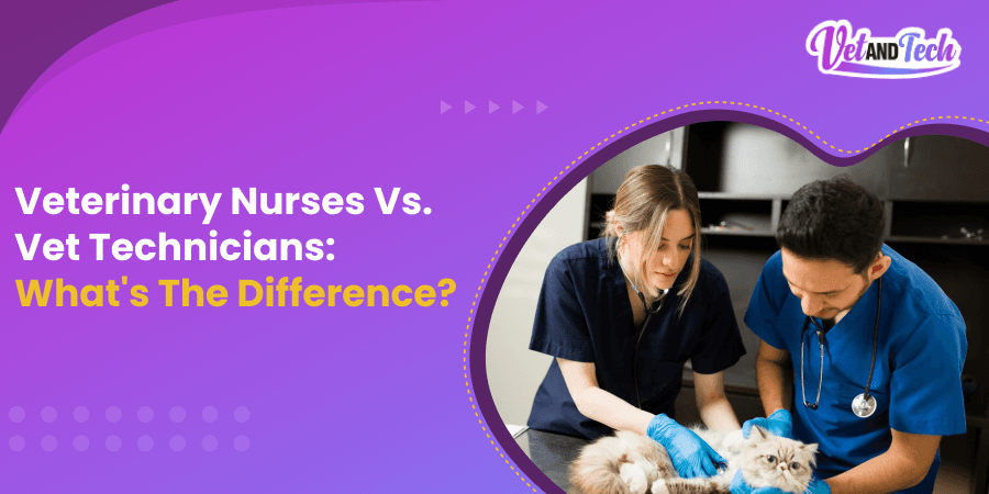Veterinary Nurses vs. Vet Technicians: What's the Difference?