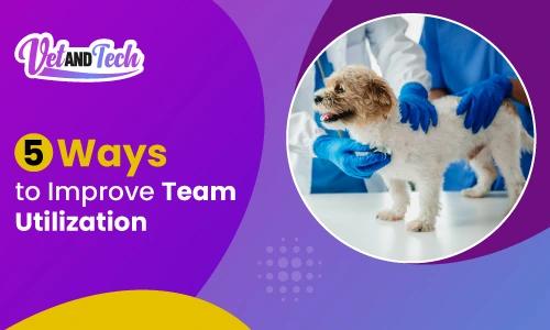 Veterinary Practice Management: 5 Ways to Improve Team Utilization