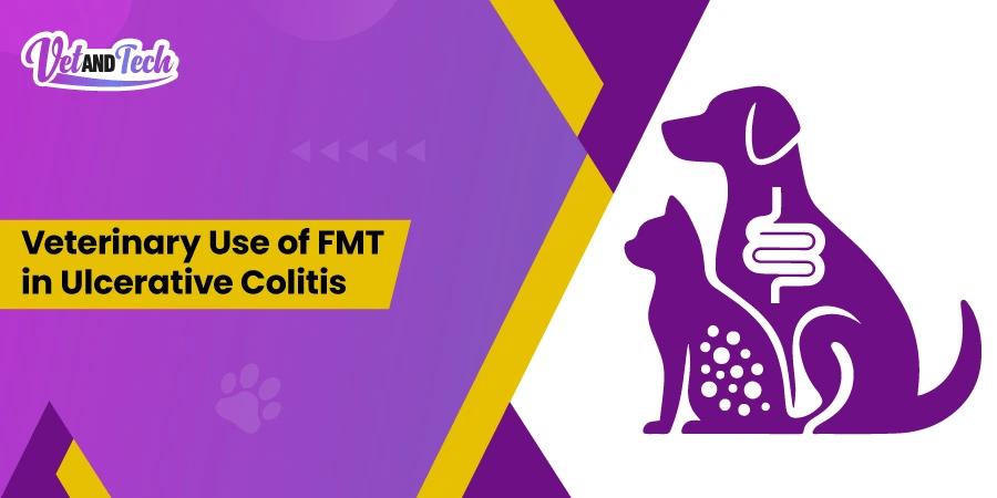The Role of FMT in Refractory Ulcerative Colitis & IBD in Veterinary Patients