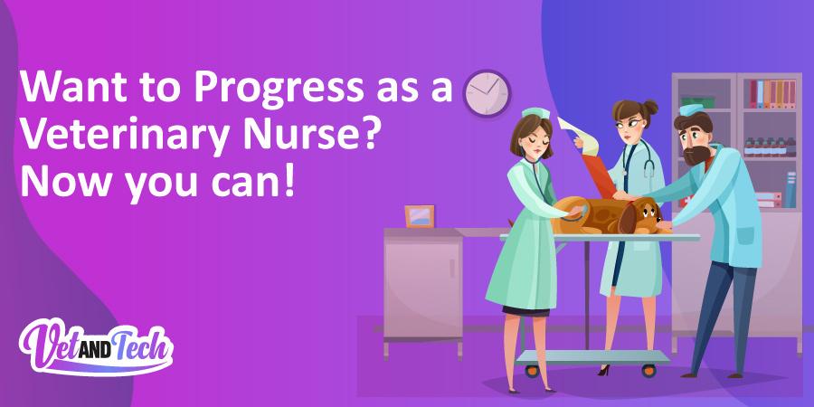 Want to progress as a veterinary nurse? Now you can!