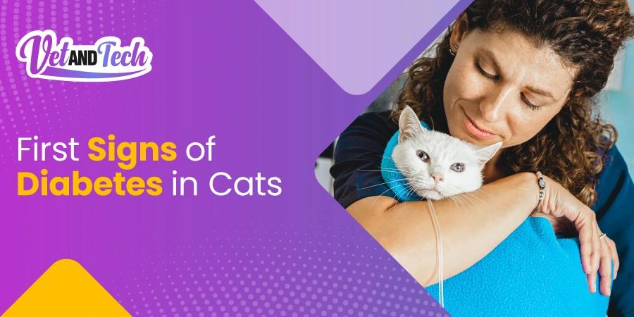 First Signs of Diabetes in Cats And Early Detection Tips for Veterinarians
