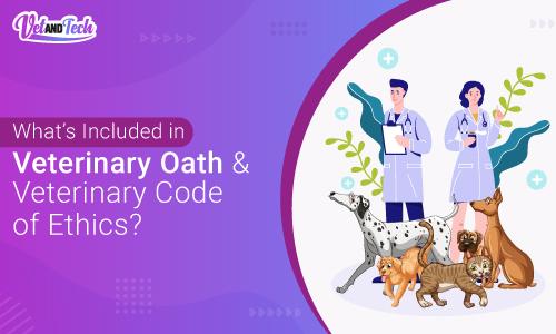 What’s Included in Veterinary Oath and Veterinary Code of Ethics?