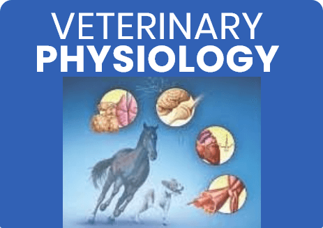 Bachelor of Veterinary Science Physiology [BVSc]