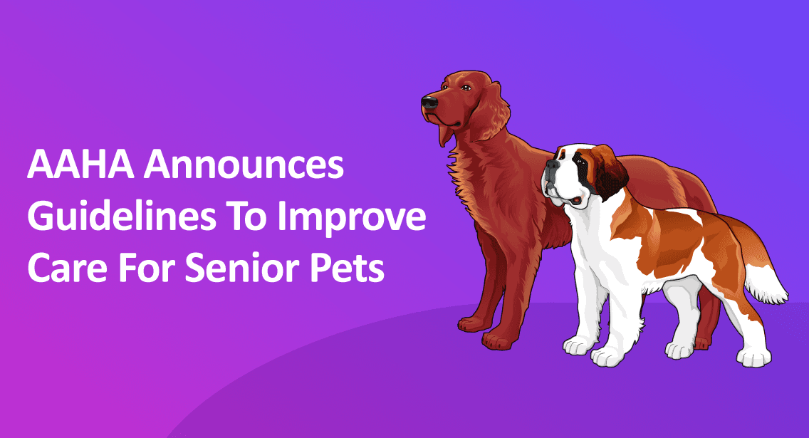 AAHA Announces Guidelines To Improve Care For Senior Pets