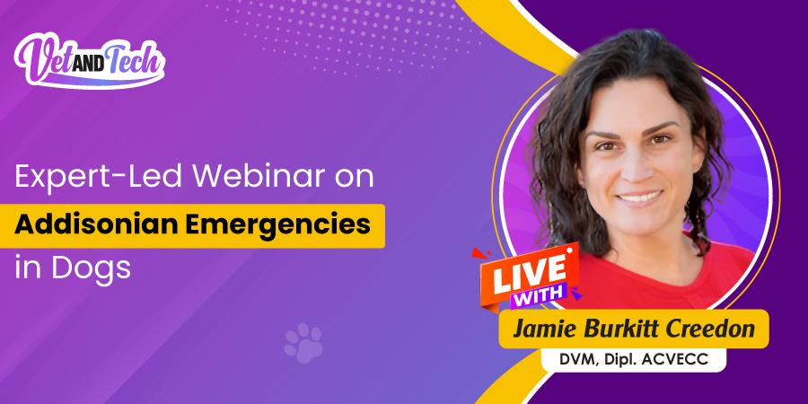 Free Online Veterinary CE: Recognizing Addison’s Disease in Dogs