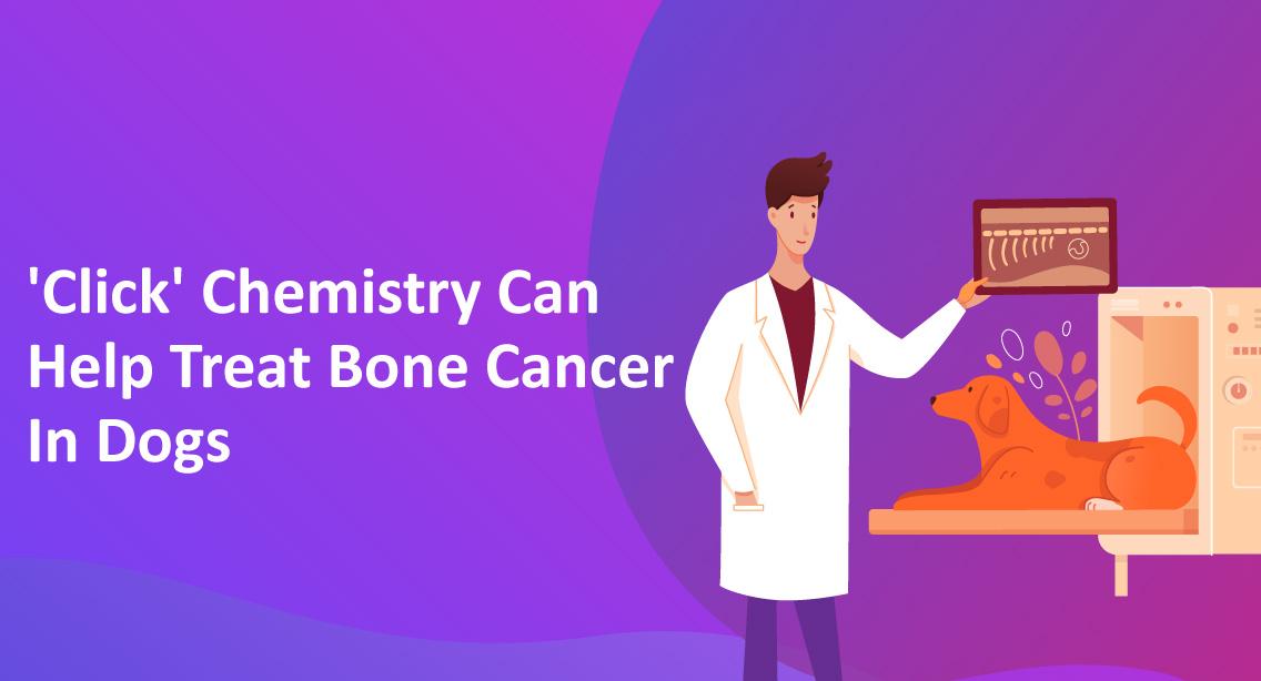 'Click' Chemistry Can Help Treat Bone Cancer In Dogs