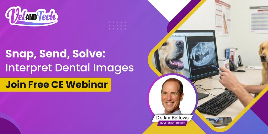 Dental Dilemmas: Snap, Send, Solve – Free RACE CE Webinar