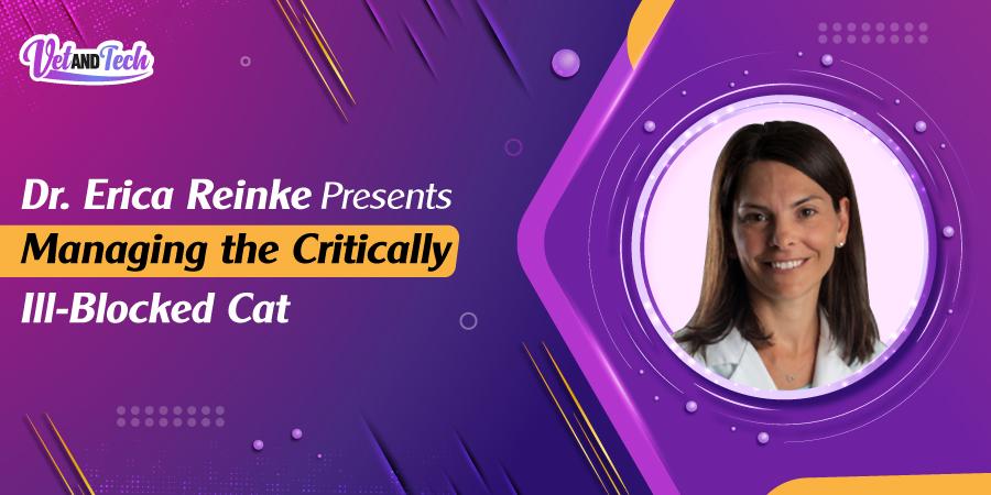 Dr Erica Reineke Presents Managing the Critically Ill-Blocked Cat
