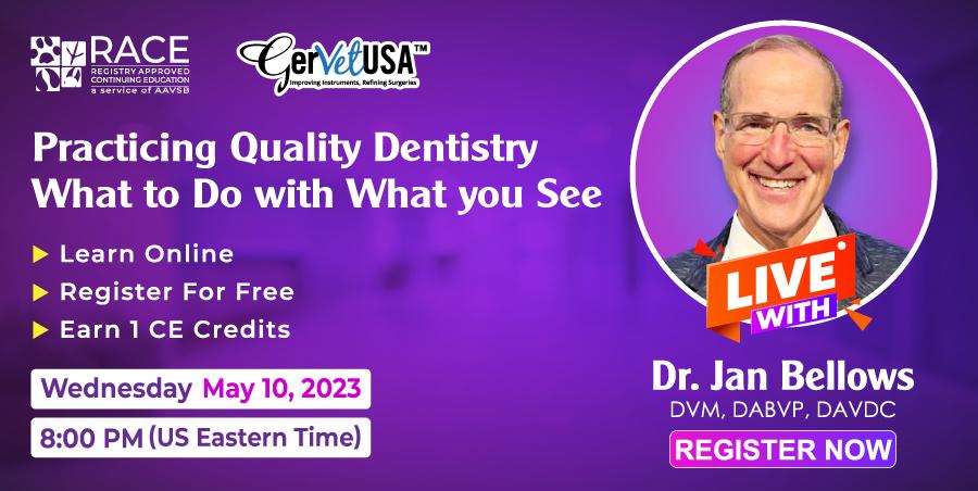 Dr. Jan Bellows Instructs Vet and Tech Upcoming Webinar On Veterinary Dentistry