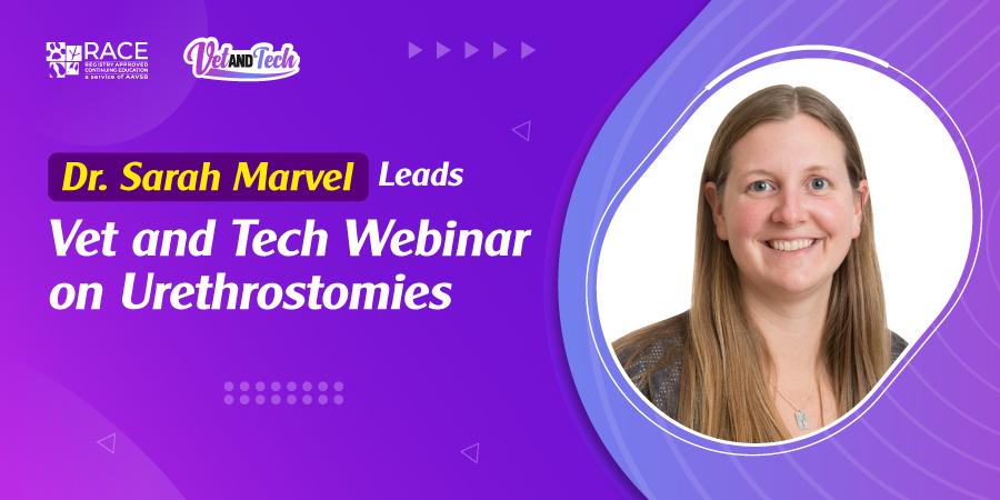 Dr. Sarah Marvel Leads Vet and Tech Webinar on Urethrostomies