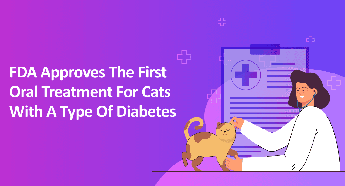 FDA Approves the First Oral Treatment For Cats With a Type of Diabetes