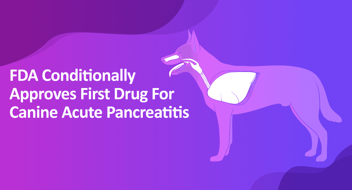 FDA Conditionally Approves First Drug For Canine Acute Pancreatitis