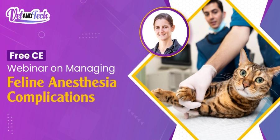 Is Your Feline Patient Safe Under Anesthesia? Find Out in This Free Veterinary CE Webinar