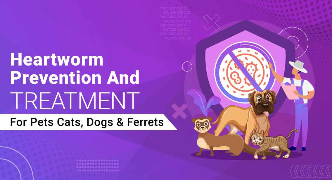 Heartworm Prevention And Treatment For Pets- Cats, Dogs & Ferrets