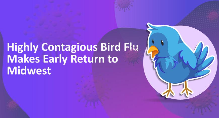 Highly Contagious Bird Flu Makes Early Return to Midwest