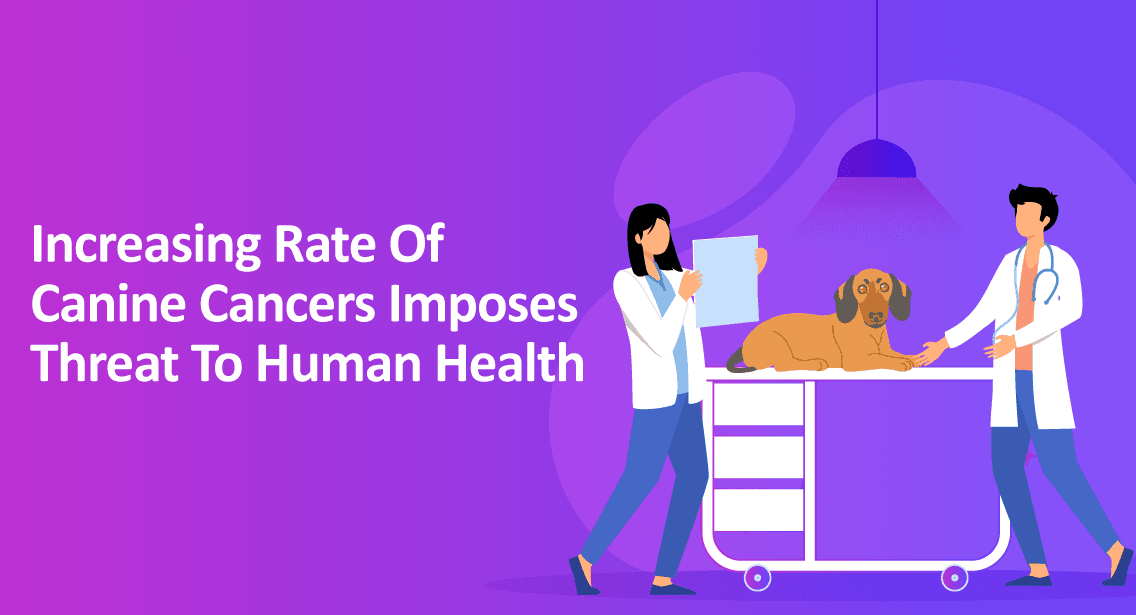 Increasing Rate of Canine Cancers Imposes Threat to Human Health