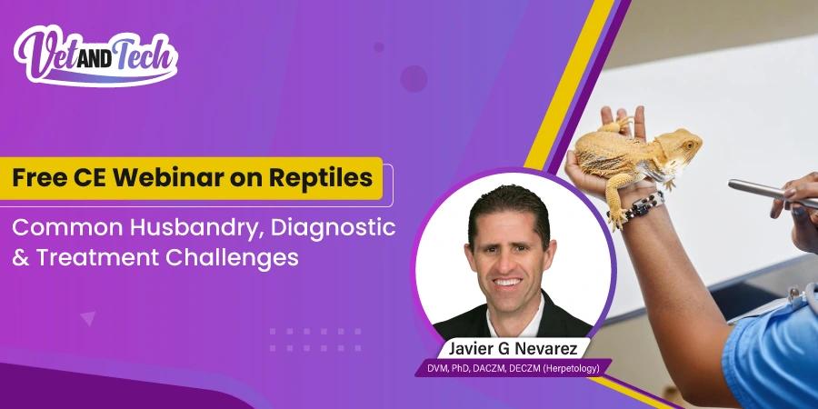 Is Your Clinic Reptile-Ready? Join Our Free CE Webinar!