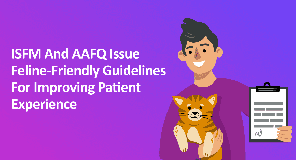ISFM And AAFQ Issue Feline-Friendly Guidelines For Improving Patient Experience
