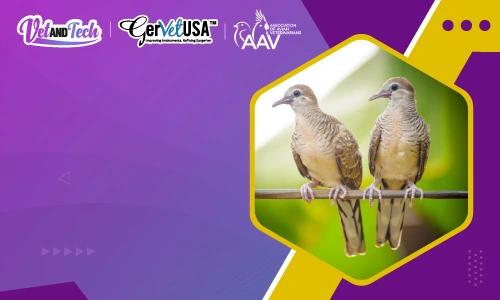 Meet GerVetUSA & Vet and Tech at the 46th AAV Conference 2025