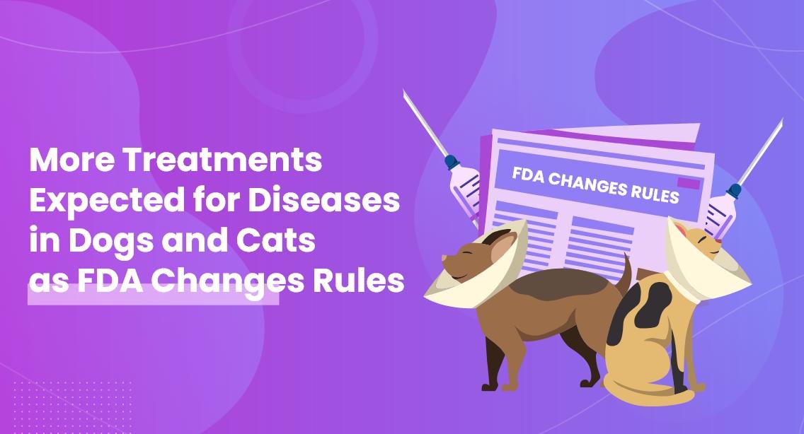 More Treatments Expected for Diseases in Dogs and Cats as FDA Changes Rules