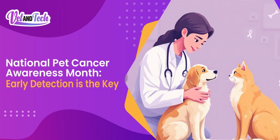 National Pet Cancer Awareness Month: Early Detection is the Key