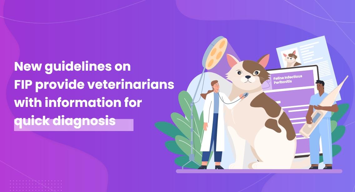 New Guidelines on FIP Provide Veterinarians With Information For Quick Diagnosis