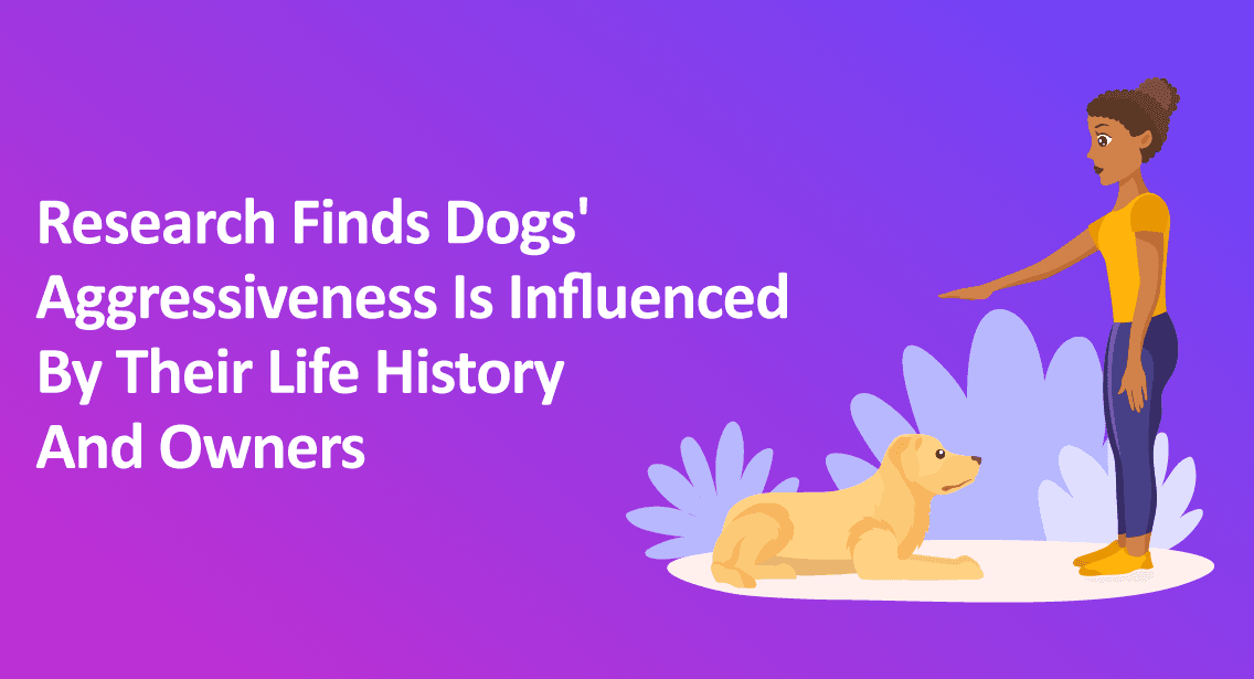 Research Finds Dogs' Aggressiveness Is Influenced By Their Life History And Owners