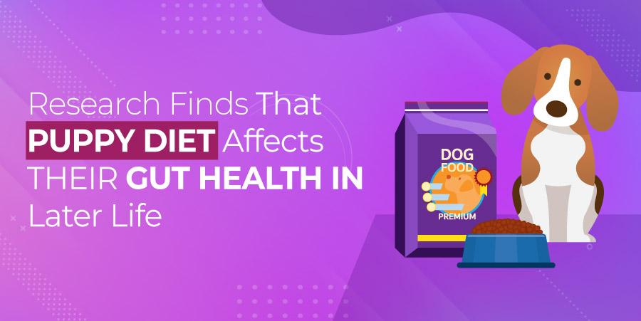 Research Finds That Puppy Diet Affects Their Gut Health In Later Life