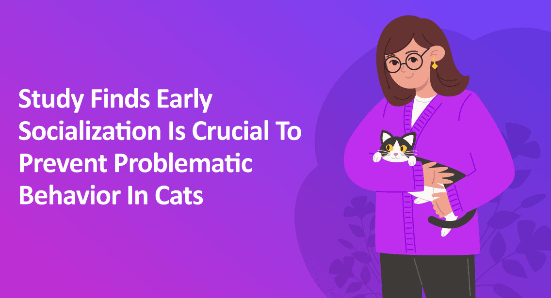 Study Finds Early Socialization Is Crucial To Prevent Problematic Behavior In Cats