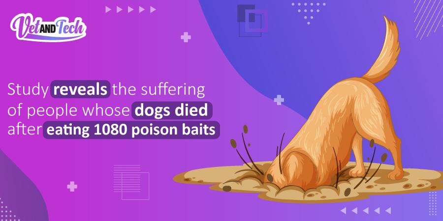 Study reveals the suffering of people whose dogs died after eating 1080 poison baits