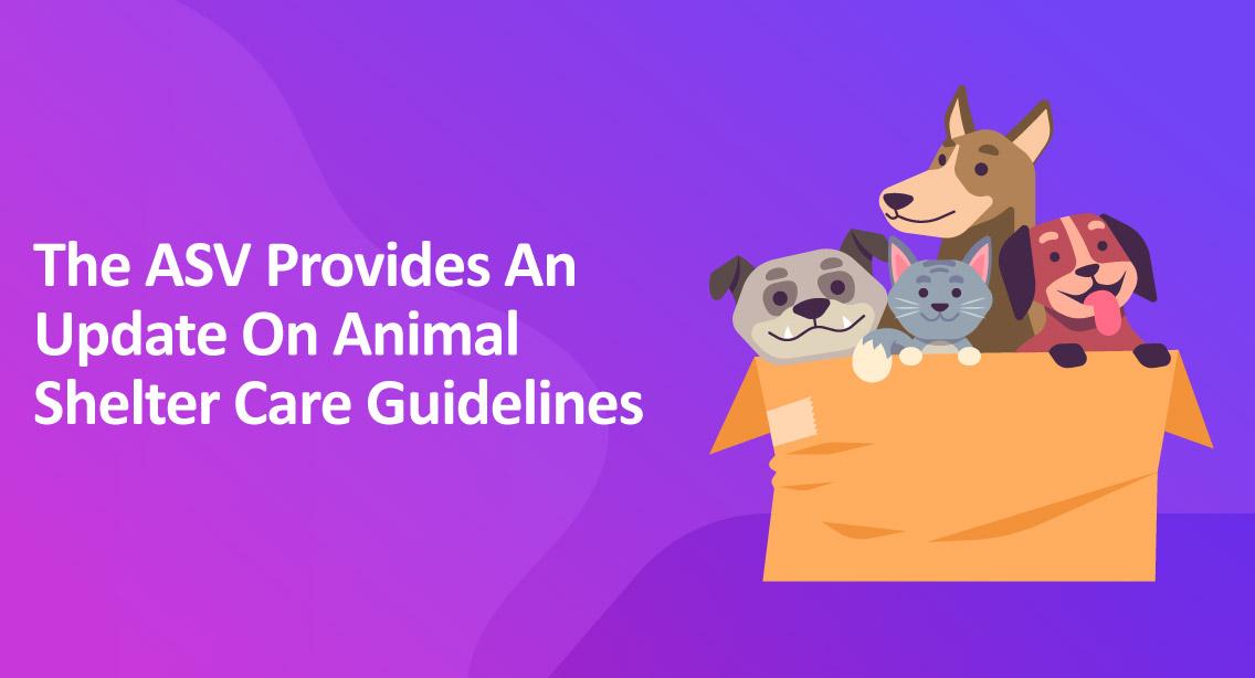 The ASV Provides An Update On Animal Shelter Care Guidelines