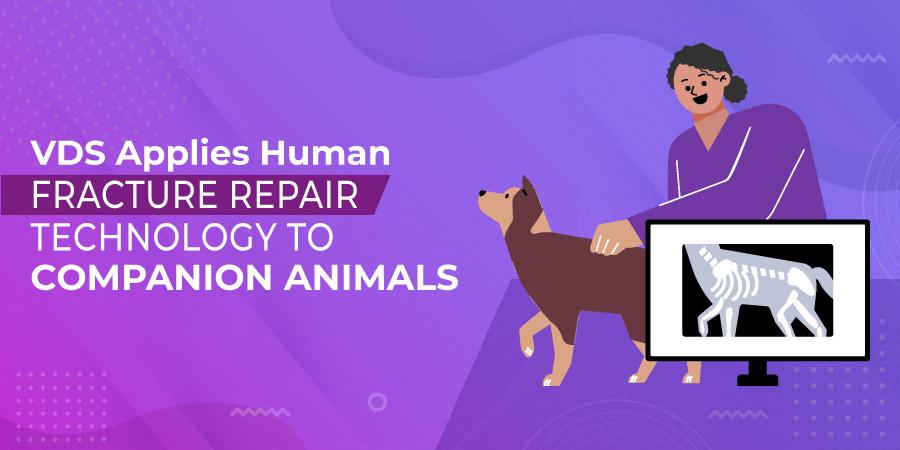 VDS Applies Human Fracture Repair Technology To Companion Animals