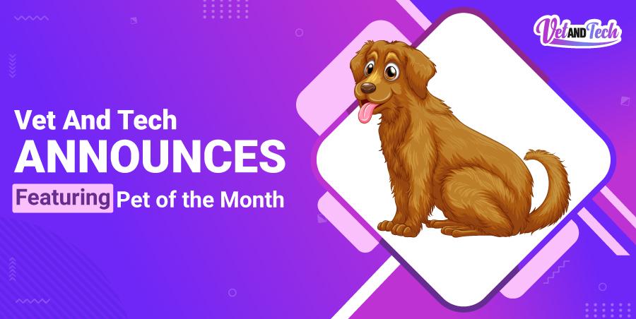 Vet and Tech Announces Featuring Pet of the Month