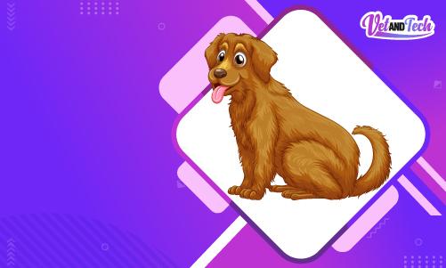 Vet and Tech Announces Featuring Pet of the Month