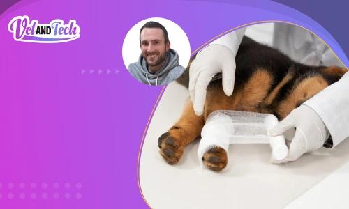 Learn Practical Bandaging Skills in a Vet Tech Week CE Webinar 2025
