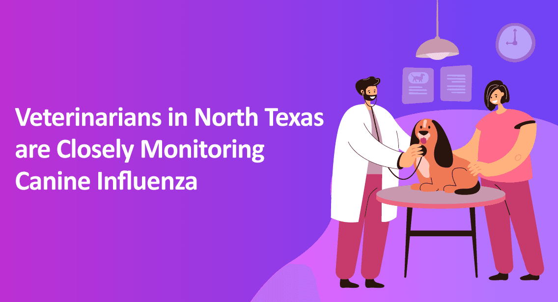 Veterinarians in North Texas are Closely Monitoring Canine Influenza