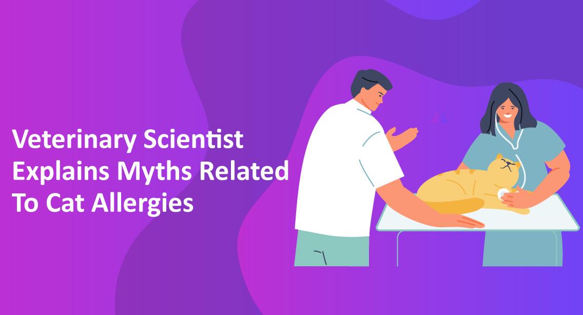 Veterinary Scientist Explains Myths Related To Cat Allergies