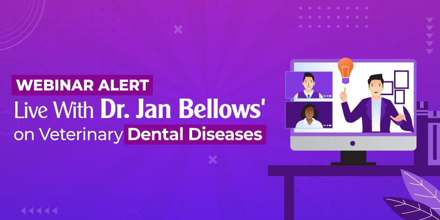 Webinar Alert: Live With Dr. Jan Bellows' On Veterinary Dental Diseases