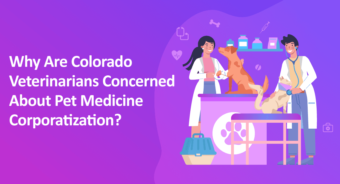 Why Are Colorado Veterinarians Concerned About Pet Medicine Corporatization?