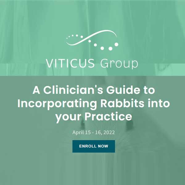 A Clinician's Guide to Incorporating Rabbits into your Practice