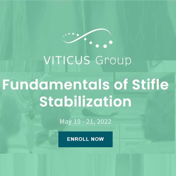 Fundamentals of Stifle Stabilization