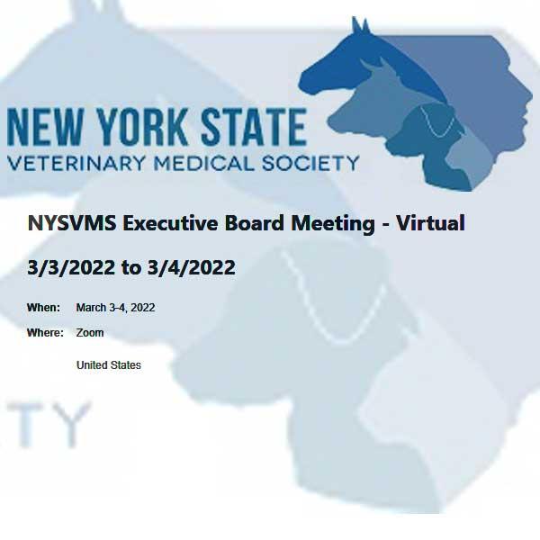 NYSVMS Executive Board Meeting - Virtual